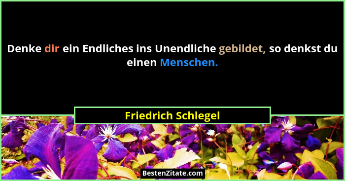 Denke dir ein Endliches ins Unendliche gebildet, so denkst du einen Menschen.... - Friedrich Schlegel