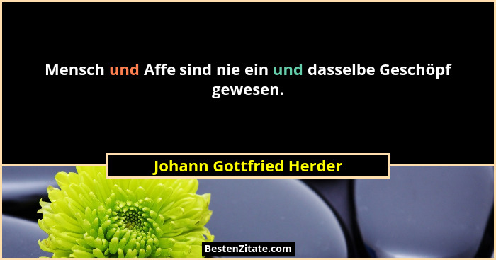 Mensch und Affe sind nie ein und dasselbe Geschöpf gewesen.... - Johann Gottfried Herder
