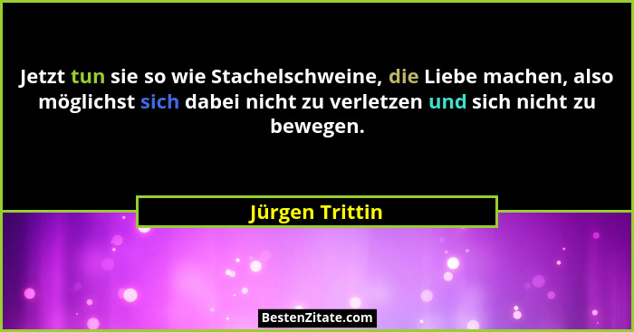 Jetzt tun sie so wie Stachelschweine, die Liebe machen, also möglichst sich dabei nicht zu verletzen und sich nicht zu bewegen.... - Jürgen Trittin