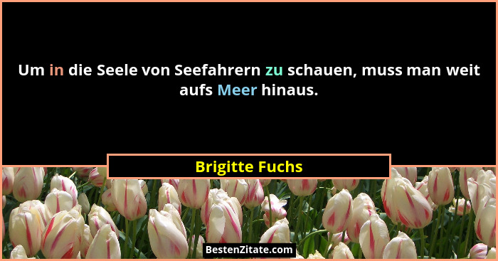 Um in die Seele von Seefahrern zu schauen, muss man weit aufs Meer hinaus.... - Brigitte Fuchs