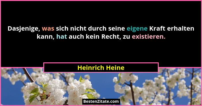 Dasjenige, was sich nicht durch seine eigene Kraft erhalten kann, hat auch kein Recht, zu existieren.... - Heinrich Heine
