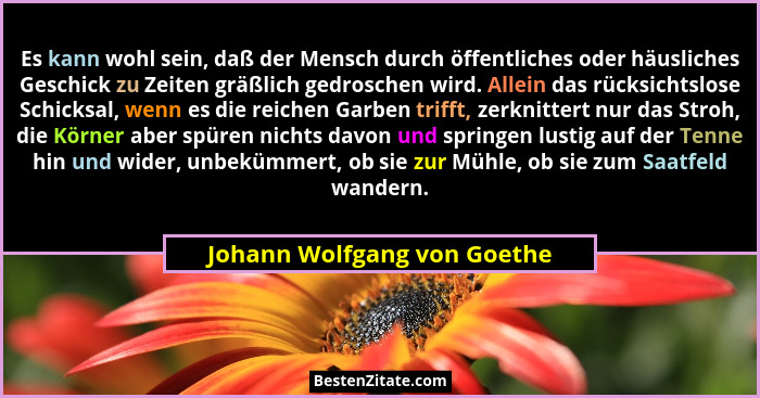 Es kann wohl sein, daß der Mensch durch öffentliches oder häusliches Geschick zu Zeiten gräßlich gedroschen wird. Allein... - Johann Wolfgang von Goethe