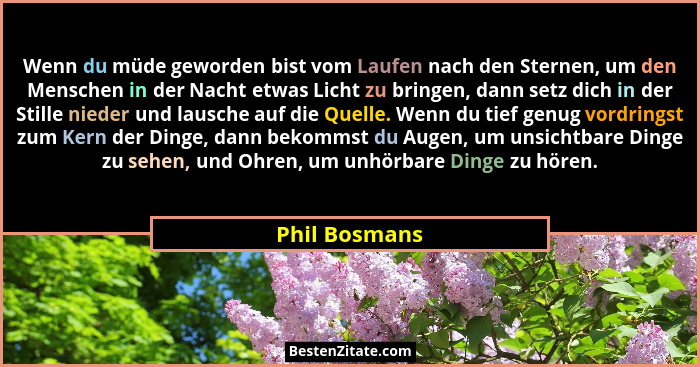 Wenn du müde geworden bist vom Laufen nach den Sternen, um den Menschen in der Nacht etwas Licht zu bringen, dann setz dich in der Stil... - Phil Bosmans