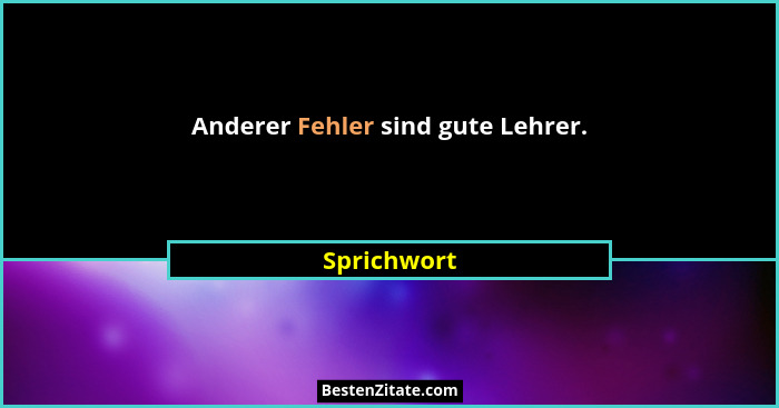 Anderer Fehler sind gute Lehrer.... - Sprichwort