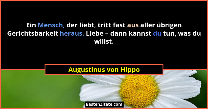 Ein Mensch, der liebt, tritt fast aus aller übrigen Gerichtsbarkeit heraus. Liebe – dann kannst du tun, was du willst.... - Augustinus von Hippo