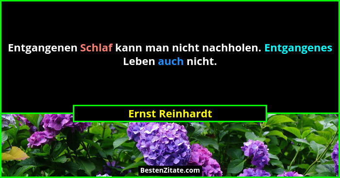 Entgangenen Schlaf kann man nicht nachholen. Entgangenes Leben auch nicht.... - Ernst Reinhardt