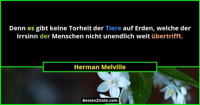 Denn es gibt keine Torheit der Tiere auf Erden, welche der Irrsinn der Menschen nicht unendlich weit übertrifft.... - Herman Melville