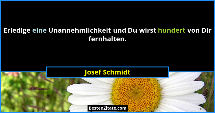 Erledige eine Unannehmlichkeit und Du wirst hundert von Dir fernhalten.... - Josef Schmidt