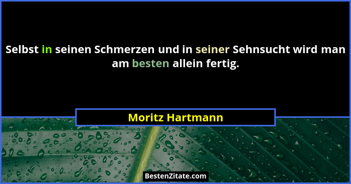 Selbst in seinen Schmerzen und in seiner Sehnsucht wird man am besten allein fertig.... - Moritz Hartmann