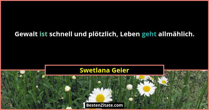 Gewalt ist schnell und plötzlich, Leben geht allmählich.... - Swetlana Geier