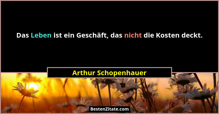 Das Leben ist ein Geschäft, das nicht die Kosten deckt.... - Arthur Schopenhauer