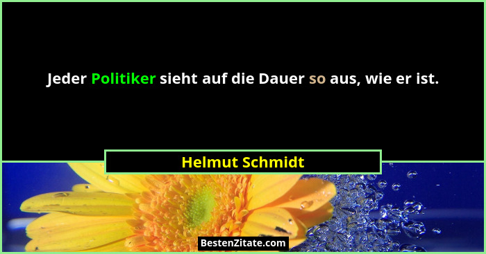 Jeder Politiker sieht auf die Dauer so aus, wie er ist.... - Helmut Schmidt