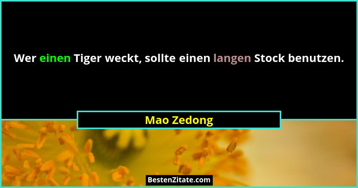 Wer einen Tiger weckt, sollte einen langen Stock benutzen.... - Mao Zedong