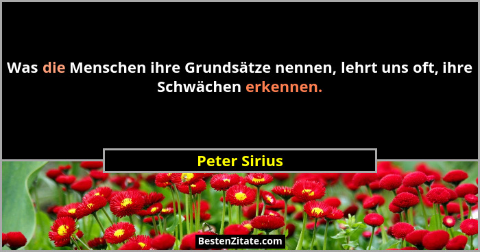 Was die Menschen ihre Grundsätze nennen, lehrt uns oft, ihre Schwächen erkennen.... - Peter Sirius