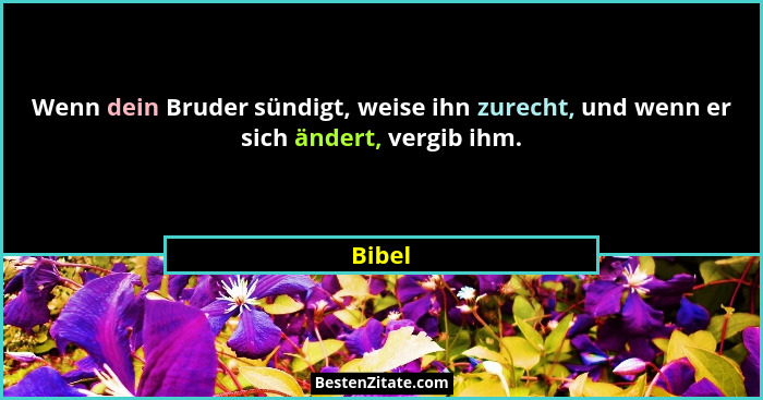 Wenn dein Bruder sündigt, weise ihn zurecht, und wenn er sich ändert, vergib ihm.... - Bibel