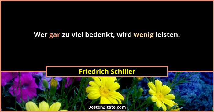 Wer gar zu viel bedenkt, wird wenig leisten.... - Friedrich Schiller