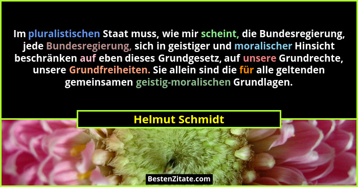 Im pluralistischen Staat muss, wie mir scheint, die Bundesregierung, jede Bundesregierung, sich in geistiger und moralischer Hinsicht... - Helmut Schmidt