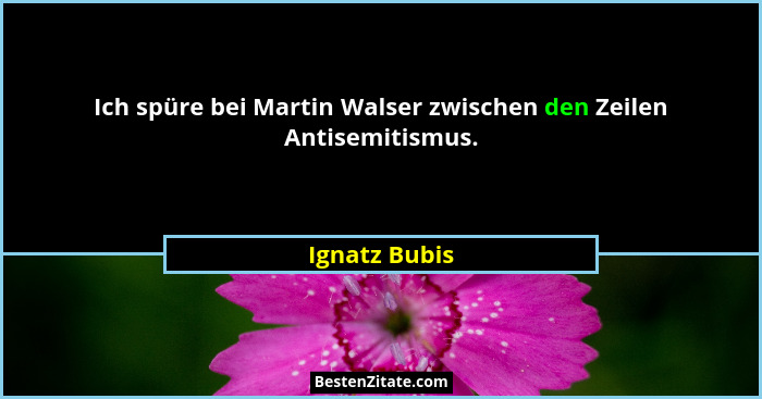Ich spüre bei Martin Walser zwischen den Zeilen Antisemitismus.... - Ignatz Bubis
