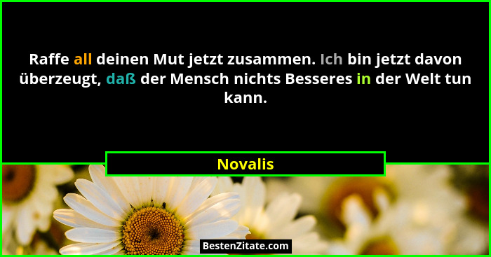 Raffe all deinen Mut jetzt zusammen. Ich bin jetzt davon überzeugt, daß der Mensch nichts Besseres in der Welt tun kann.... - Novalis