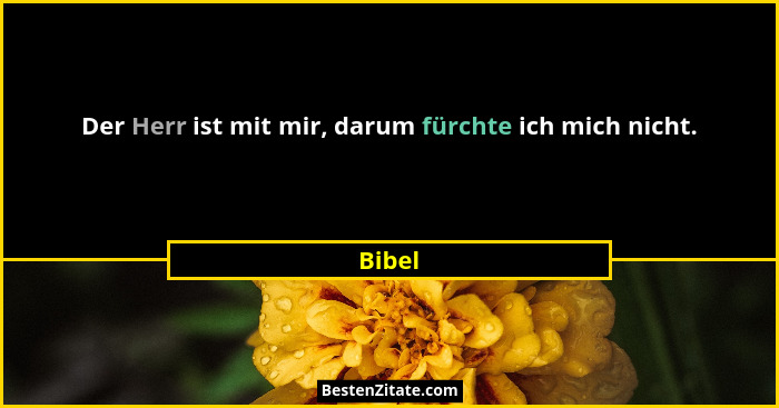 Der Herr ist mit mir, darum fürchte ich mich nicht.... - Bibel