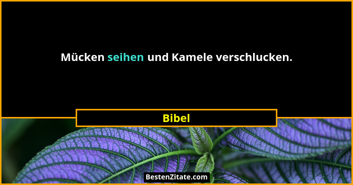 Mücken seihen und Kamele verschlucken.... - Bibel