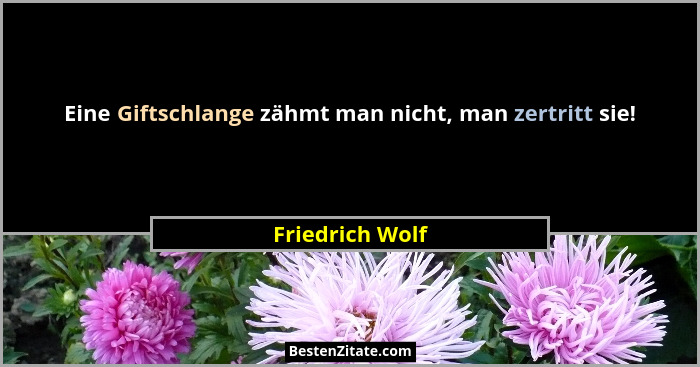Eine Giftschlange zähmt man nicht, man zertritt sie!... - Friedrich Wolf