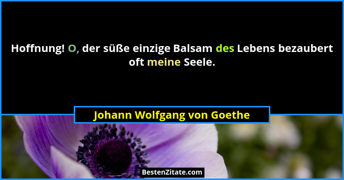 Hoffnung! O, der süße einzige Balsam des Lebens bezaubert oft meine Seele.... - Johann Wolfgang von Goethe