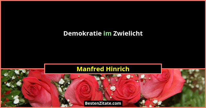 Demokratie im Zwielicht... - Manfred Hinrich