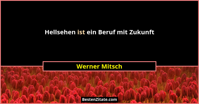Hellsehen ist ein Beruf mit Zukunft... - Werner Mitsch