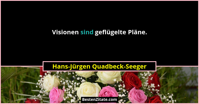 Visionen sind geflügelte Pläne.... - Hans-Jürgen Quadbeck-Seeger