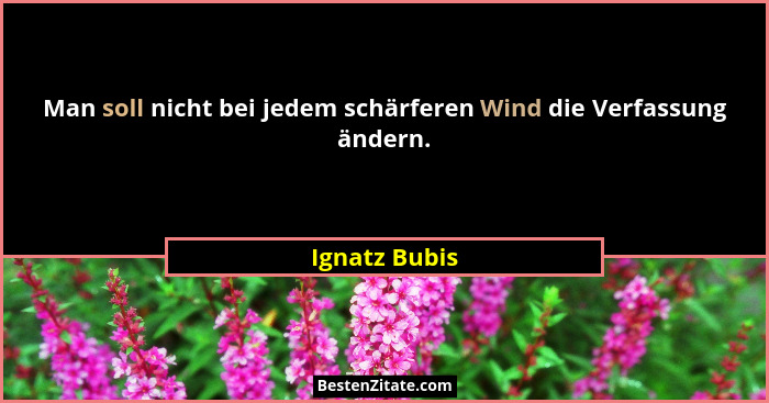 Man soll nicht bei jedem schärferen Wind die Verfassung ändern.... - Ignatz Bubis