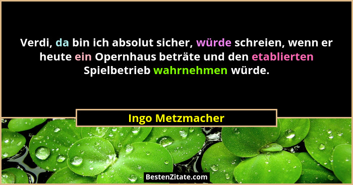 Verdi, da bin ich absolut sicher, würde schreien, wenn er heute ein Opernhaus beträte und den etablierten Spielbetrieb wahrnehmen wü... - Ingo Metzmacher