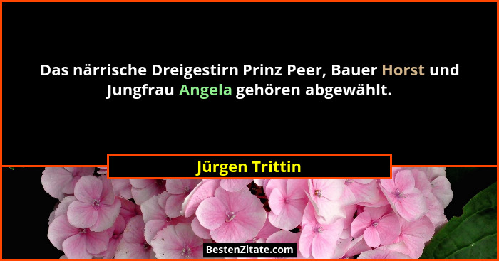 Das närrische Dreigestirn Prinz Peer, Bauer Horst und Jungfrau Angela gehören abgewählt.... - Jürgen Trittin