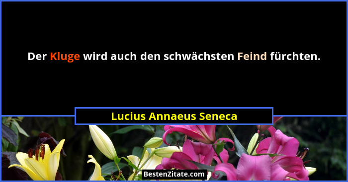 Der Kluge wird auch den schwächsten Feind fürchten.... - Lucius Annaeus Seneca