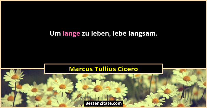 Um lange zu leben, lebe langsam.... - Marcus Tullius Cicero