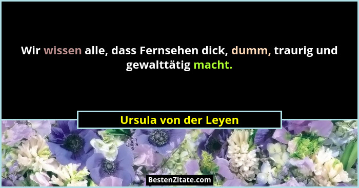 Wir wissen alle, dass Fernsehen dick, dumm, traurig und gewalttätig macht.... - Ursula von der Leyen