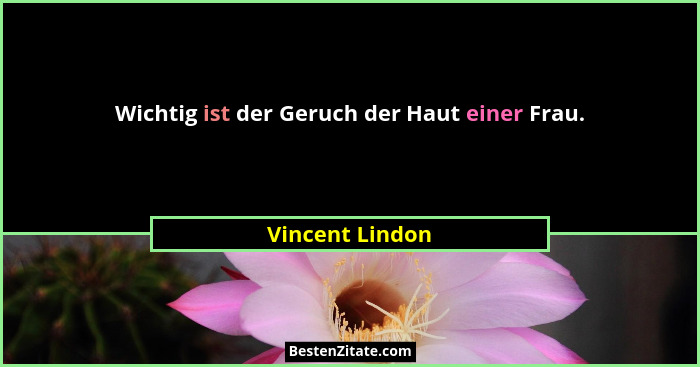 Wichtig ist der Geruch der Haut einer Frau.... - Vincent Lindon