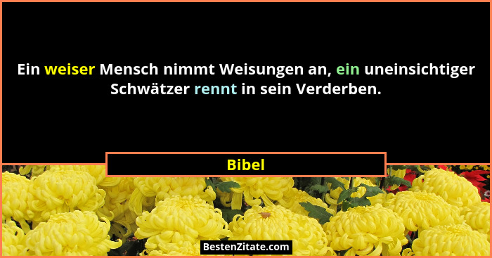 Ein weiser Mensch nimmt Weisungen an, ein uneinsichtiger Schwätzer rennt in sein Verderben.... - Bibel