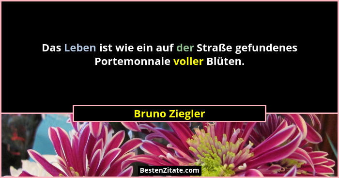 Das Leben ist wie ein auf der Straße gefundenes Portemonnaie voller Blüten.... - Bruno Ziegler