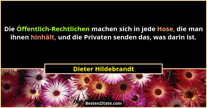 Die Öffentlich-Rechtlichen machen sich in jede Hose, die man ihnen hinhält, und die Privaten senden das, was darin ist.... - Dieter Hildebrandt