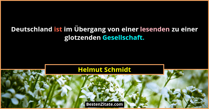 Deutschland ist im Übergang von einer lesenden zu einer glotzenden Gesellschaft.... - Helmut Schmidt