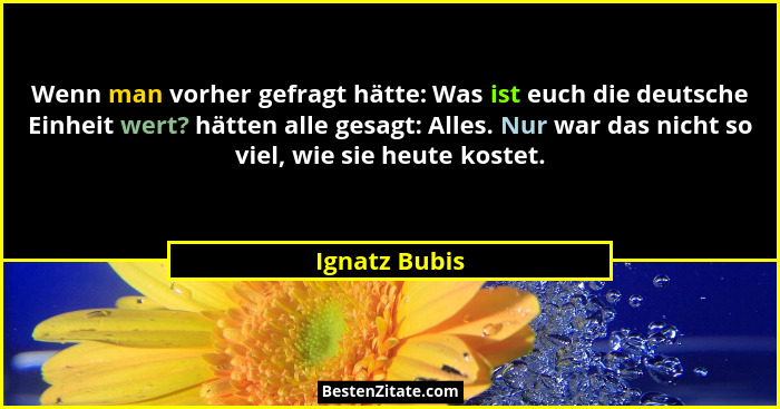 Wenn man vorher gefragt hätte: Was ist euch die deutsche Einheit wert? hätten alle gesagt: Alles. Nur war das nicht so viel, wie sie he... - Ignatz Bubis