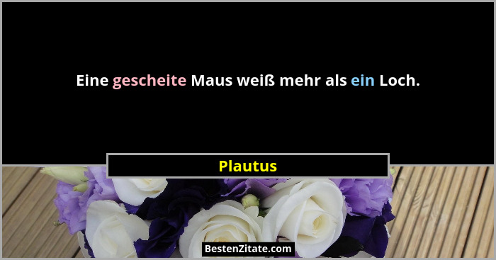 Eine gescheite Maus weiß mehr als ein Loch.... - Plautus
