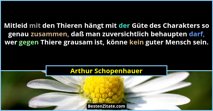 Mitleid mit den Thieren hängt mit der Güte des Charakters so genau zusammen, daß man zuversichtlich behaupten darf, wer gegen Th... - Arthur Schopenhauer