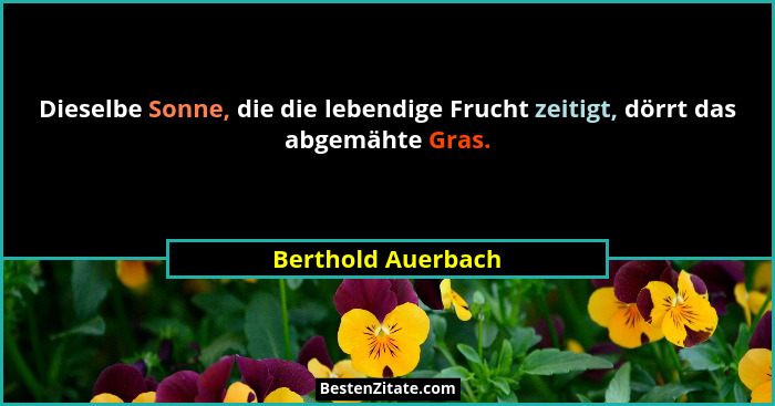 Dieselbe Sonne, die die lebendige Frucht zeitigt, dörrt das abgemähte Gras.... - Berthold Auerbach