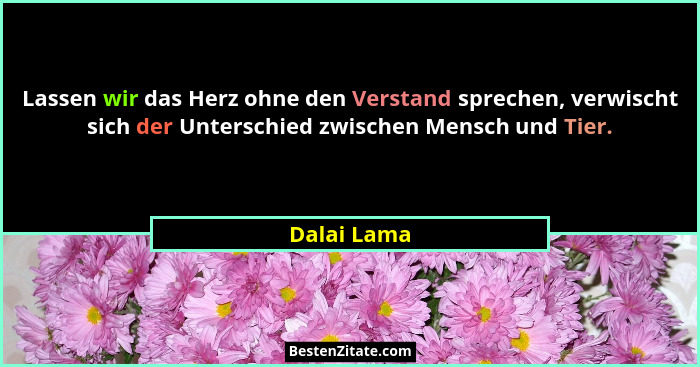 Lassen wir das Herz ohne den Verstand sprechen, verwischt sich der Unterschied zwischen Mensch und Tier.... - Dalai Lama