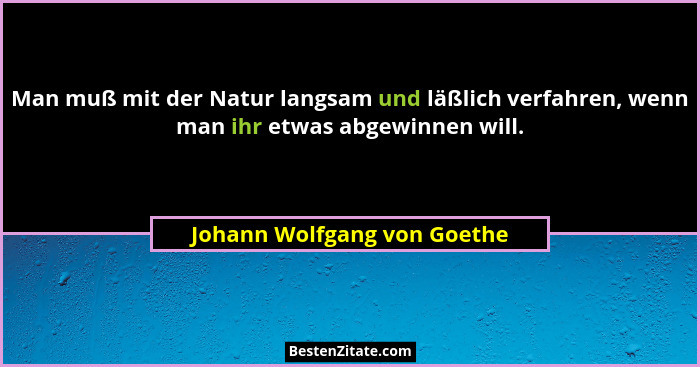 Man muß mit der Natur langsam und läßlich verfahren, wenn man ihr etwas abgewinnen will.... - Johann Wolfgang von Goethe