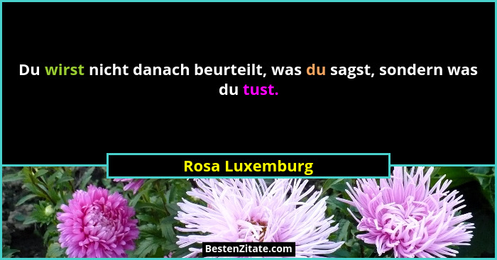 Du wirst nicht danach beurteilt, was du sagst, sondern was du tust.... - Rosa Luxemburg
