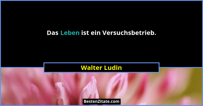 Das Leben ist ein Versuchsbetrieb.... - Walter Ludin