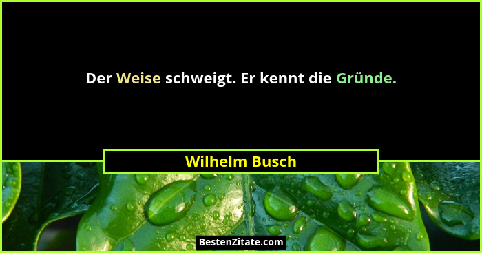 Der Weise schweigt. Er kennt die Gründe.... - Wilhelm Busch